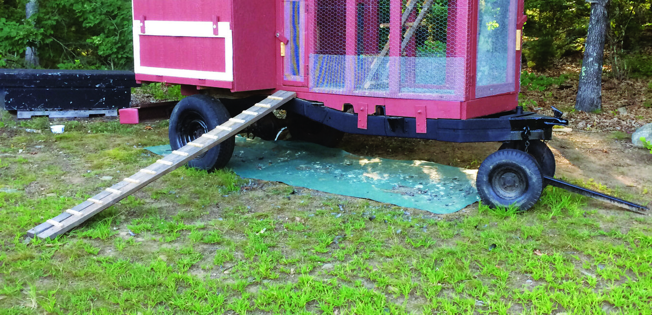 Cheap Chicken Coop Ideas With a Used Truck Frame – Mother Earth News - Vimarsana News